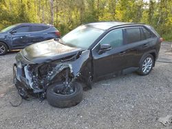 Salvage cars for sale at Cookstown, ON auction: 2023 Toyota Rav4 XLE