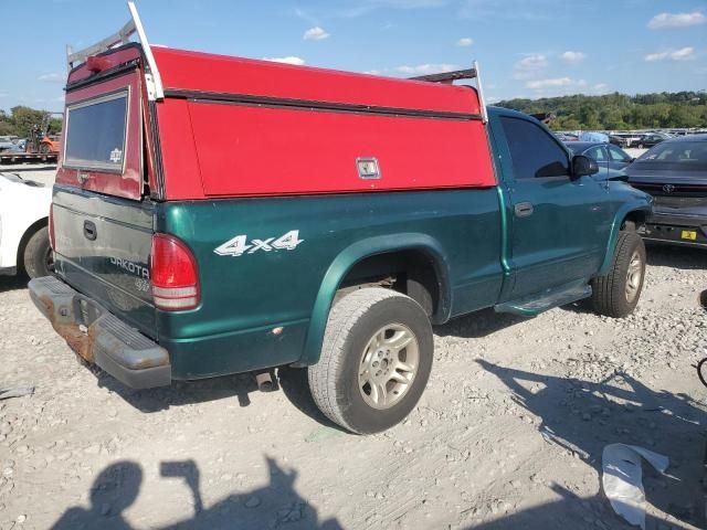 2003 Dodge Dakota SXT