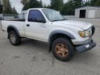 2001 Toyota Tacoma Prerunner