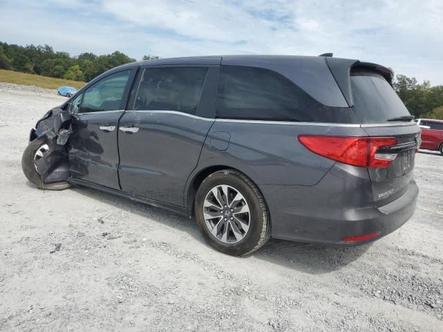 2023 Honda Odyssey EXL