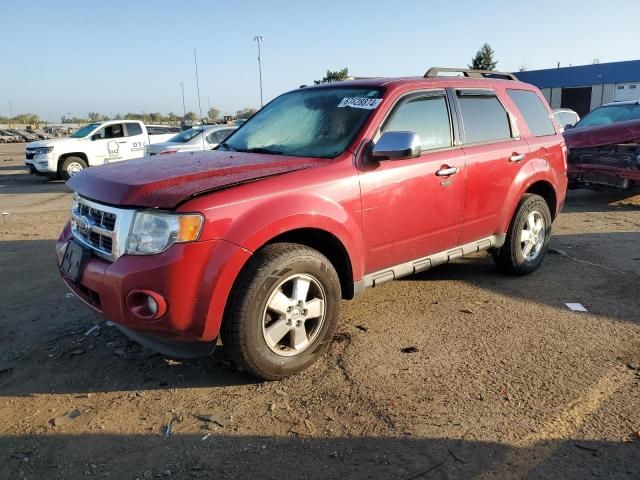 2011 Ford Escape XLT