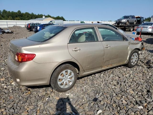 2009 Toyota Corolla Base