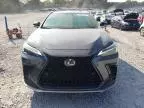 2023 Lexus NX 350