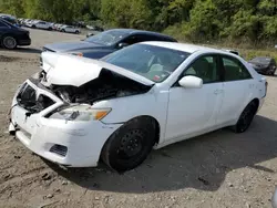 Toyota salvage cars for sale: 2011 Toyota Camry Base