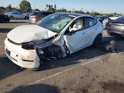 Salvage cars for sale at Van Nuys, CA auction: 2023 Tesla Model Y