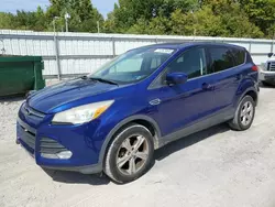 Ford Escape salvage cars for sale: 2013 Ford Escape SE