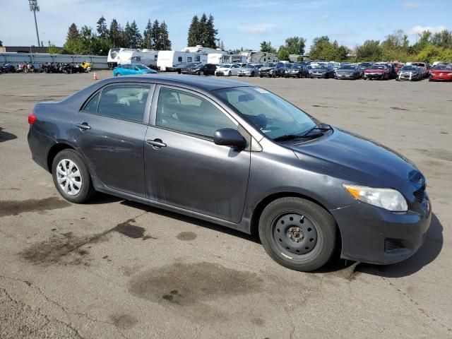 2010 Toyota Corolla Base