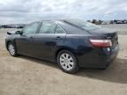 2009 Toyota Camry Hybrid