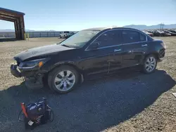 Salvage cars for sale at Helena, MT auction: 2009 Honda Accord EX