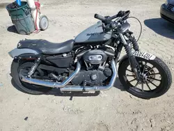 Salvage Motorcycles for sale at auction: 2009 Harley-Davidson XL883 N