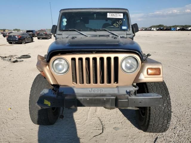 1999 Jeep Wrangler / TJ Sport