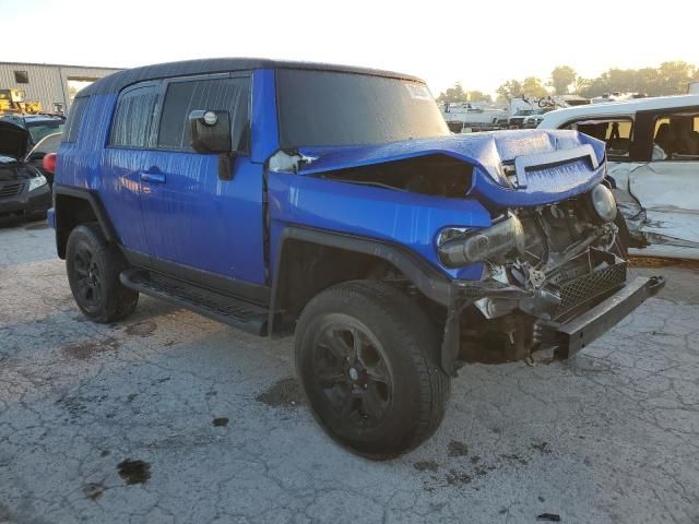 2007 Toyota FJ Cruiser