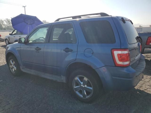 2010 Ford Escape XLT