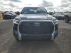 2023 Toyota Tundra Crewmax SR