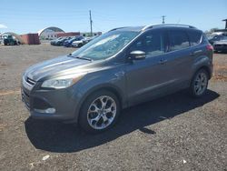 Salvage cars for sale at Kapolei, HI auction: 2015 Ford Escape Titanium