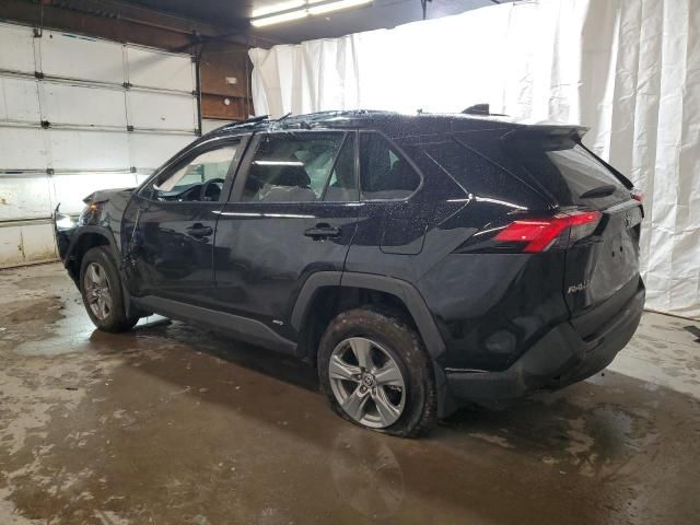 2024 Toyota Rav4 XLE