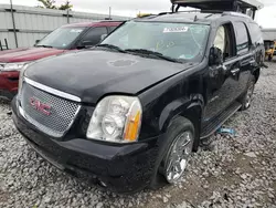 GMC salvage cars for sale: 2008 GMC Yukon Denali