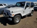 1999 Jeep Wrangler / TJ Sahara