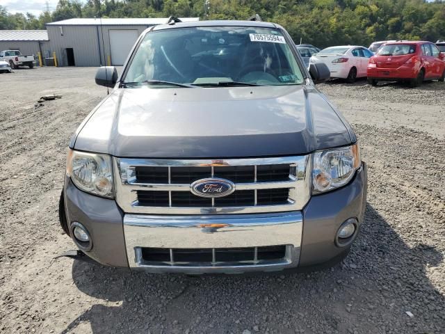 2009 Ford Escape XLT