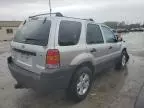 2007 Ford Escape XLT