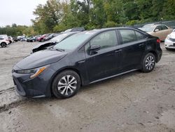 Salvage cars for sale at Candia, NH auction: 2021 Toyota Corolla LE