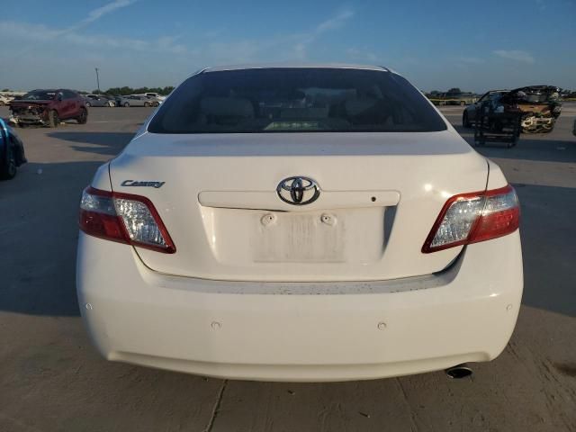 2009 Toyota Camry Hybrid