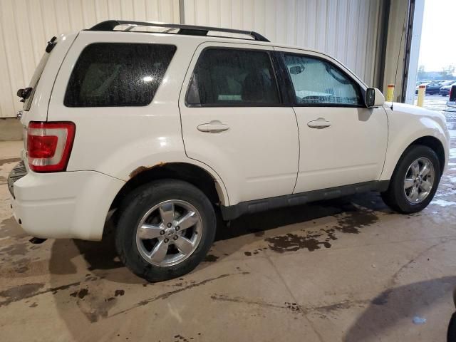 2011 Ford Escape Limited