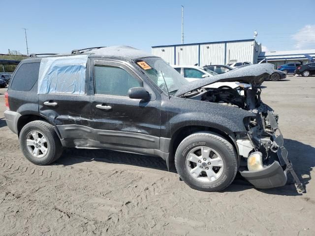 2007 Ford Escape XLT