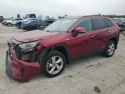 Toyota salvage cars for sale: 2021 Toyota Rav4 Limited