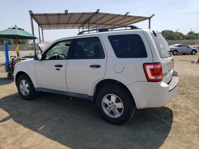 2012 Ford Escape XLT