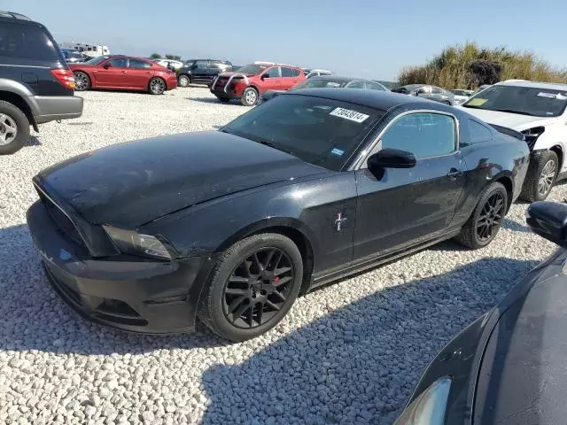 2013 Ford Mustang