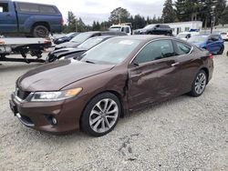 Salvage cars for sale at Graham, WA auction: 2014 Honda Accord EXL