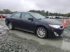 2012 Toyota Camry Hybrid