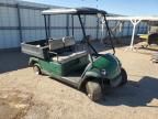 2010 Other Golfcart