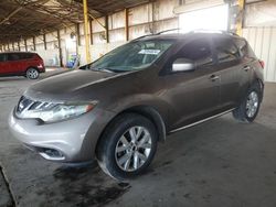 Salvage cars for sale at Phoenix, AZ auction: 2014 Nissan Murano S