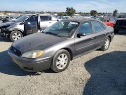 Ford salvage cars for sale: 2005 Ford Taurus SEL