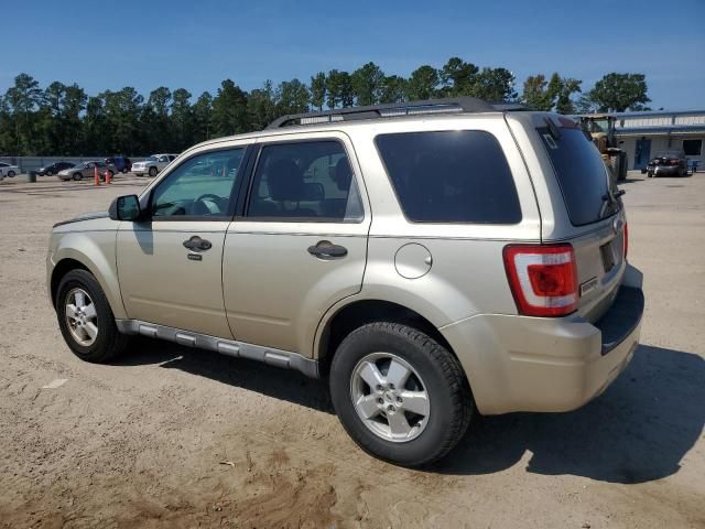 2010 Ford Escape XLT