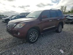 Salvage cars for sale at Wayland, MI auction: 2011 Lexus LX 570