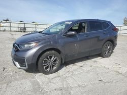 Salvage cars for sale at Walton, KY auction: 2020 Honda CR-V EX