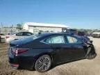 2024 Lexus ES 300H Base