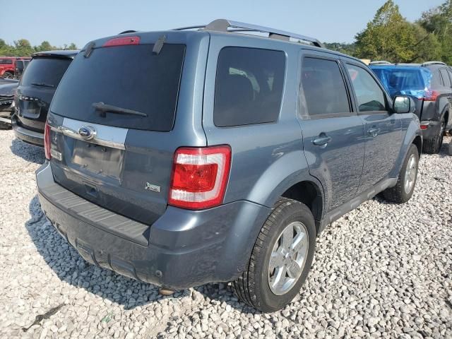 2011 Ford Escape Limited