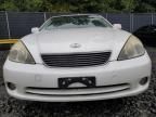 2005 Lexus ES 330