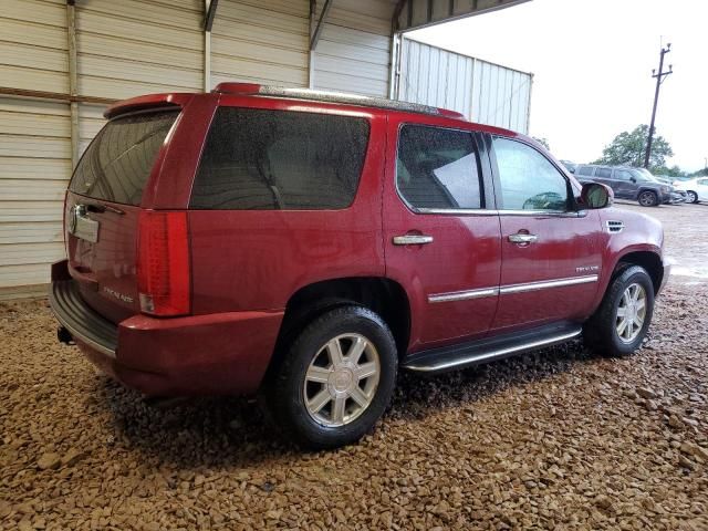 2010 Cadillac Escalade