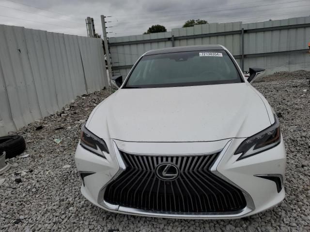 2019 Lexus ES 350