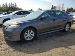 Toyota salvage cars for sale: 2009 Toyota Camry SE