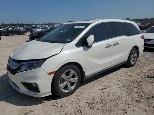 2019 Honda Odyssey EXL