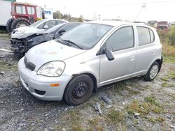 Toyota salvage cars for sale: 2004 Toyota Echo