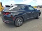 2024 Hyundai Tucson Blue