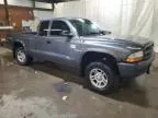 2003 Dodge Dakota SXT