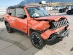 2017 Jeep Renegade Trailhawk